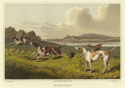 Pointeurs - Henry Thomas Alken